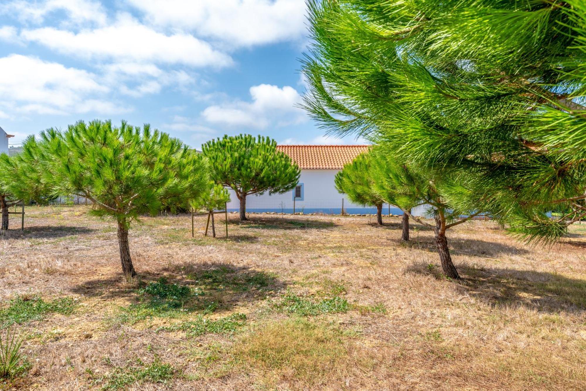 Quinta Da Bela Vista - Ericeira Holiday home Galiza